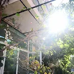Arawana Къща за гости 3*